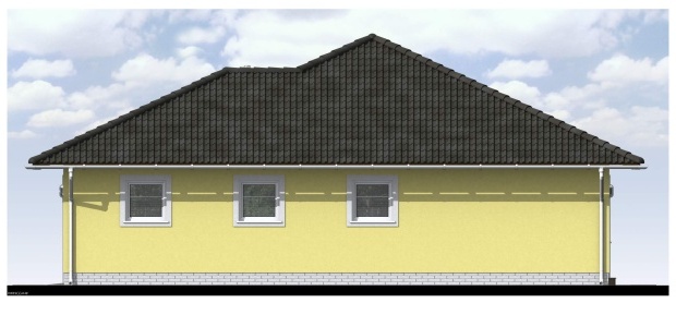 Array - perspektiva PL